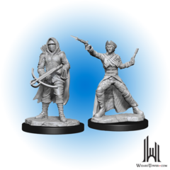 WizKids Deep Cuts Unpainted Miniatures: Bounty Hunter/Outlaw